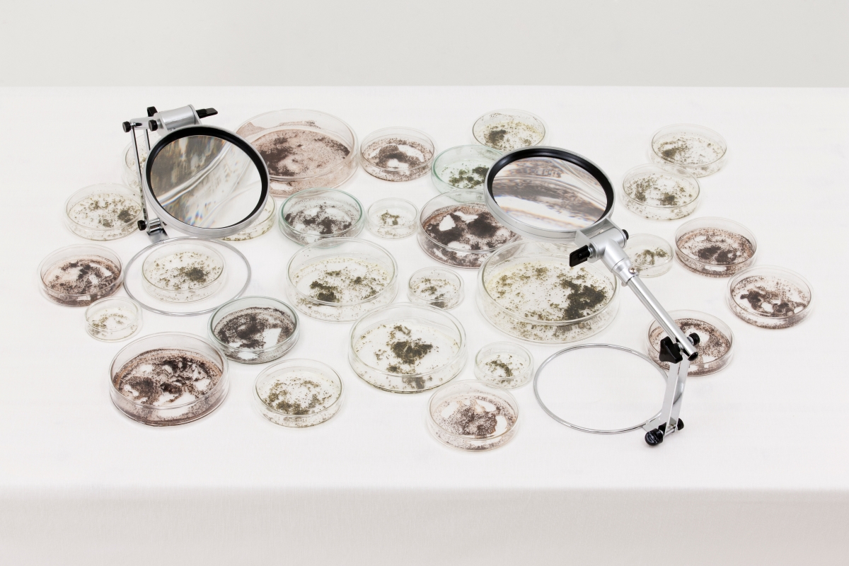 티타임 - 모든 일들에 대한 고찰｜120x75cm｜가변설치｜나무 테이블, 스탠드 돋보기, 유리 샤레, 녹차잎, 커피가루｜2015