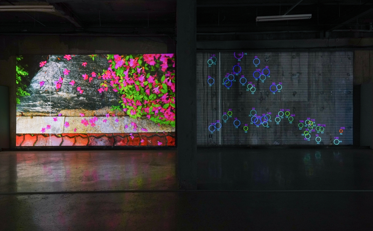 파동하는 이미지_철쭉(2022)